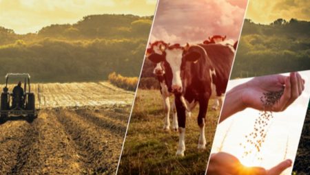 2023’te 63,4 milyar TL’lik tarımsal destek