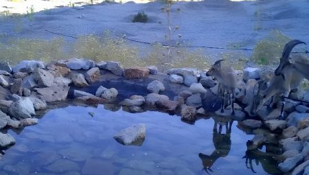 Antalya’daki üretim sahasını yeniden doğaya kazandırıyor