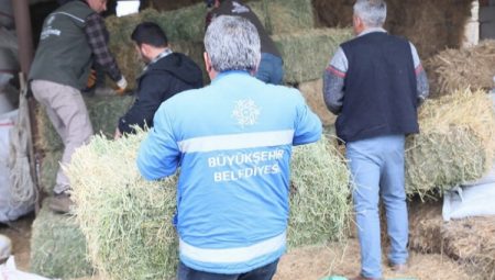 Aydın’da üreticiye büyük destek