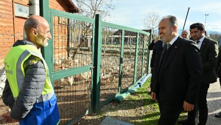 Bursa Büyükşehir’le çaresiz değilsiniz