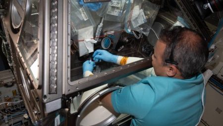 Gezeravcı uzayda pür dikkat çalışıyor