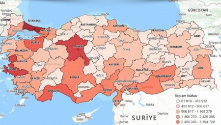 TÜİK grid düzeyde nüfus istastistiklerini erişime açtı