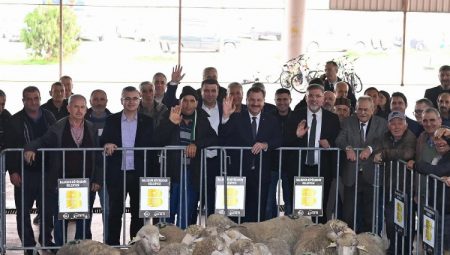 Üreticiye koç desteği