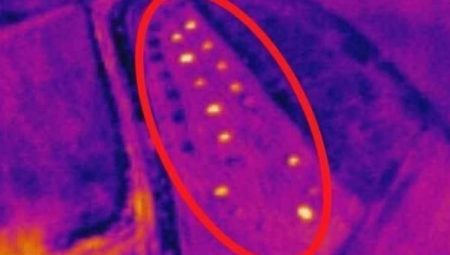 Adıyaman’da Jandarma kaybolan sürüyü İHA ile buldu