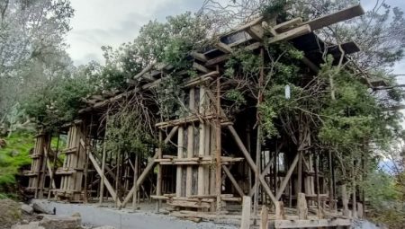 Bodrum’da kaçak inşaatı ağaç dallarıyla gizlemeye çalıştılar