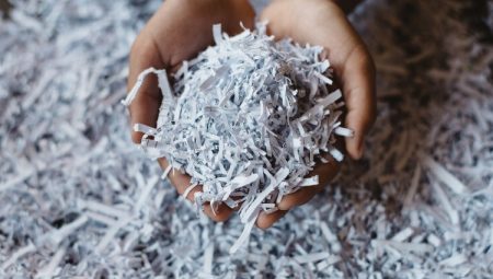 Bursa’da1433 ağaç kesilmekten kurtuldu!