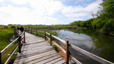 Doğa harikası longoz 140 binden fazla ziyaretçiyi ağırladı