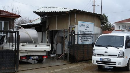 Çiğ sütte Pazaryeri’nden ülke ekonomisine milyonluk katkı