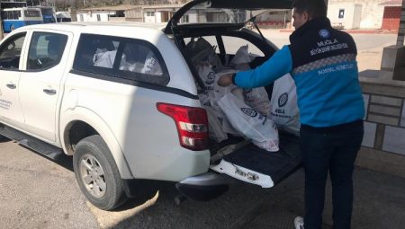 Muğla’da Mor Yaşam Projesi sürüyor