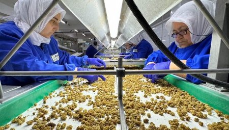 Türkiye organik ürün ihracatında 1 milyar dolar sınırını aştı