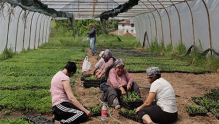 Kocaeli’den yüzde 75 hibeli tarım desteği