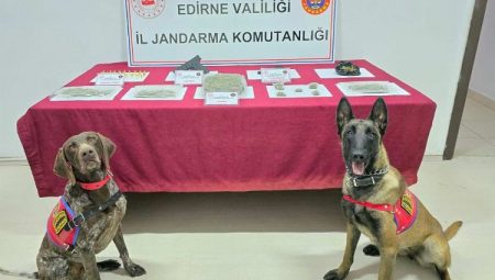 Edirne’deki operasyonda uyuşturucu madde tabanca ve fişek ele geçirildi