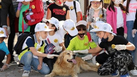 Kayseri Talas’ta Türkiye’ye örnek Pati Evi