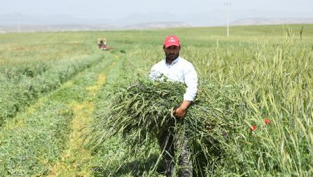 Başkan Altay: “Milli ekonomiye katma değer sağlıyoruz”