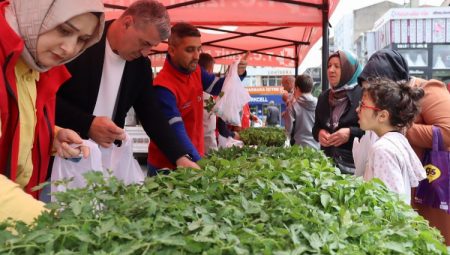 İzmit’te tarımsal kalkınmaya fide desteği
