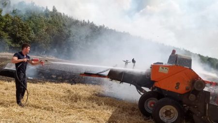 Edirne’de anız yangını ormana sıçradı