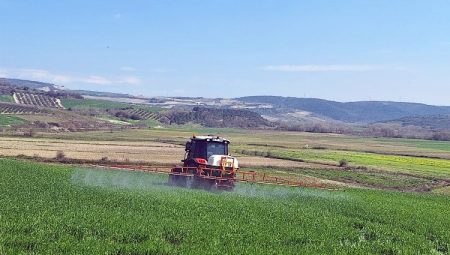 Bursa Mudanya’da süneyle kimyasal mücadele başladı