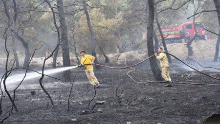 Manisa İtfaiyesi’nin yangın mücadelesi sürüyor