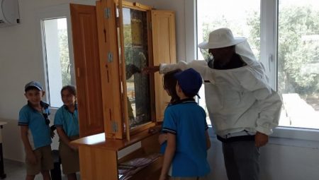Manisalı öğrencilerden arı dünyasına mercek