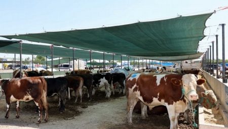 Selçuklu’da kurban satış ve kesim yerleri belli oldu
