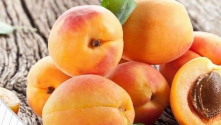 Tescilli kayısılar 12 Temmuz’da yarışacak