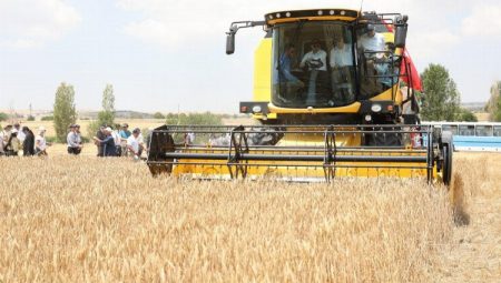 Ankara Üniversitesinde geleneksel bayram