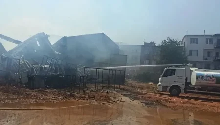 Bursa’daki yangınlar boyut atlıyor