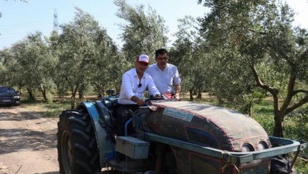 Bursa Gemlik’te zeytin ağaçları suya kavuştu