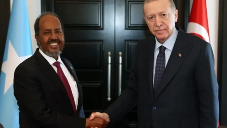 Cumhurbaşkanı Erdoğan Somalili mevkidaşıyla görüştü