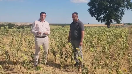 Gaytancıoğlu: Ayçiçeği fiyatı en az 25 TLolmalı