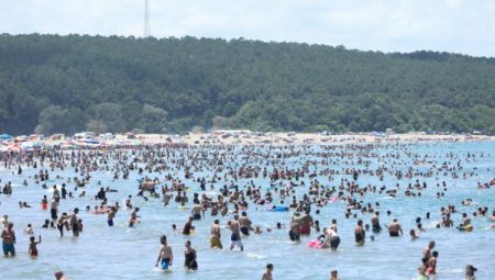 Kocaeli’nin cankurtaranları 227 kişiyi kurtardı