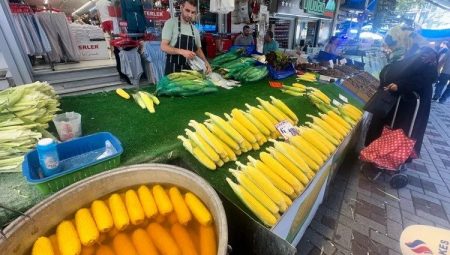 Mısır tezgahlarda yerini aldı: İşte pazarın son durumu!