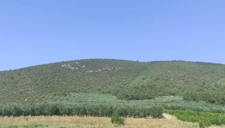 Proje Evi Kooperatifi ‘ANATOLiVAR’kapsamında Bursa’da