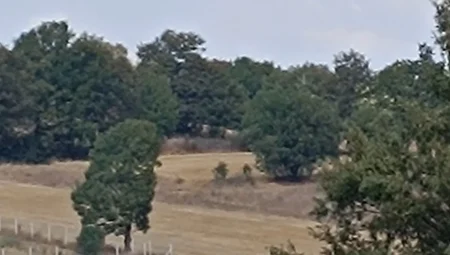 Bilecik Pazaryeri’nde orman yangını kontrol altında