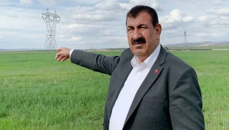 Bitkisel üretim destekleri tarıma olumlu yansıyacak