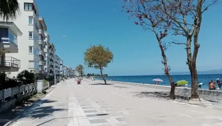 Bursa Güzelyalı sahili betona büründü
