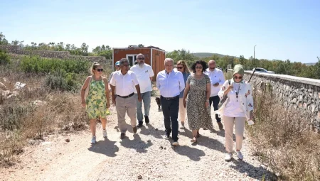 Bursa Nilüfer’de sokak hayvanları için hazırlanan projeye inceleme