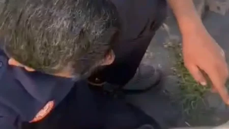 Büyükşehir İtfaiyesi, tehlikeye düşmüş tüm canlılara yardım elini uzatıyor
