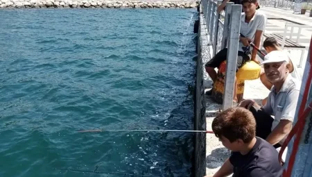 Gemlik sahili balıkçıların gözdesi