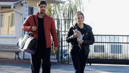 İnegöl’de 266 sokak hayvanı sahiplendirildi