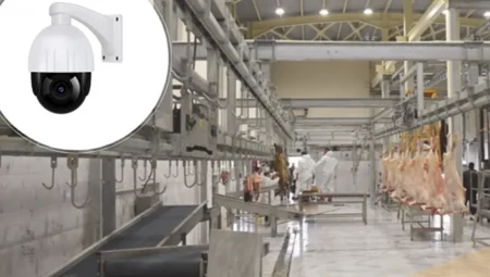 Kesimhanelere kamera zorunluluğu!