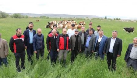 Kocasinan’ın kırsal mahallelerinde yaz mesaisi
