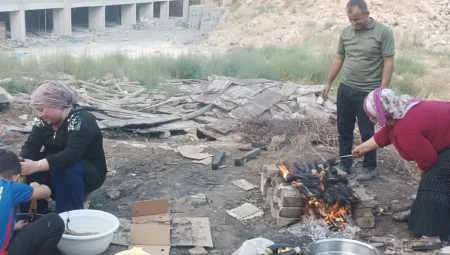Mardin’de ‘babaganuç’ mesaisi başladı