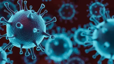 Ankara’da ‘maymun çiçeği’ iddialarına açıklama