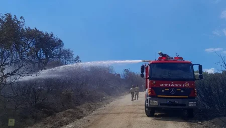 Sakarya’dan yangına müdahale açıklaması