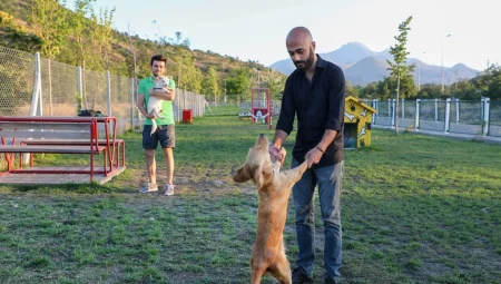 Talas’ta hayvanlara özel patiyol        