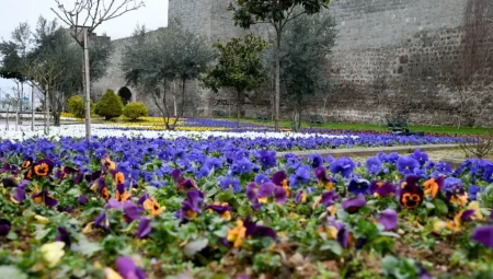 Trabzon çiçeklerle süslendi