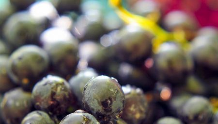 62 kalorilik bu atıştırmalık kanseri önleyebilir! ‘Doğanın şekeri’ olarak biliniyor, yararı saymakla bitmiyor