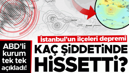 ABD’li kurum açıkladı: Sarsıntı hangi ilçede ne kadar hissedildi?