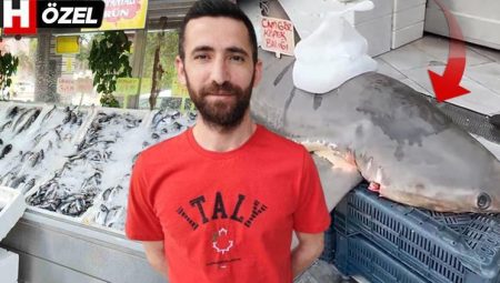 Adana’da yakalandı, kanser hastalarına dağıtıldı! Köpek balığı hakikaten de kanseri yenebilir mi? ‘Bazı yan tesirleri var ama…’